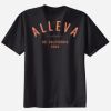Ladies Perfect T Cotton T Shirt Thumbnail